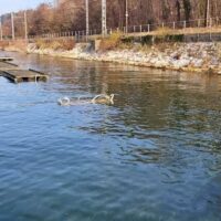 sentier fil eau lac bourget aix les bains fermeture 2024